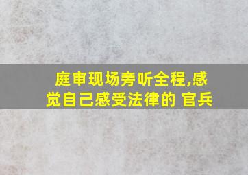 庭审现场旁听全程,感觉自己感受法律的 官兵